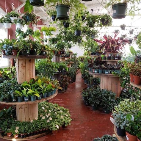 Garden Center Displays, Flower Shop Interiors, Tropical Greenhouses, Plant Display Ideas, Tattoo Plant, Flower Shop Design, Greenhouse Plans, Floor Plants, Garden Nursery