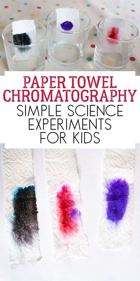 Simple Paper Towel Chromatography Experiment to do with kids to explore what colours make up black ink. Chromatography Experiment, Chromatography For Kids, Science Experiment For Kids, Paper Towel Crafts, Experiment For Kids, Math Activities For Kids, Science Experiments For Kids, Simple Science, Science Club