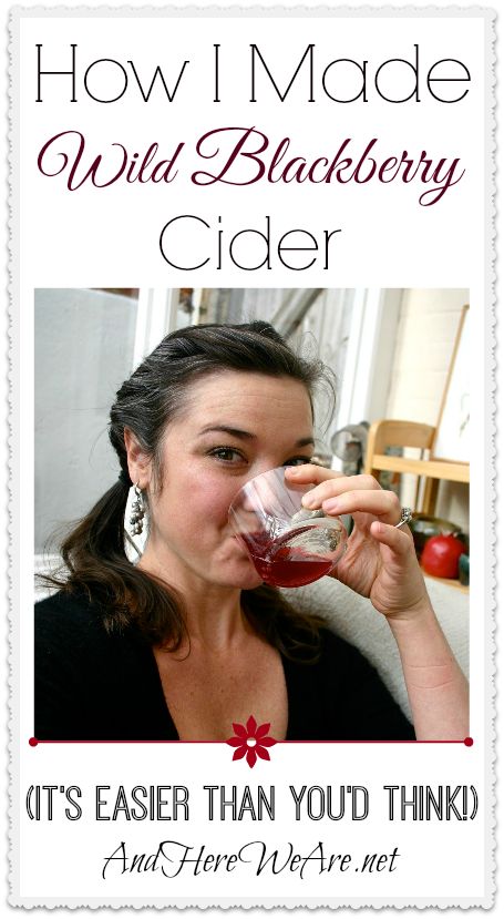 How I made Wild Blackberry Cider Blackberry Cider, Fermented Foods Benefits, Cider Recipe, All By Myself, Homemade Wine, Fermented Drink, Nourishing Foods, Hard Cider, Wild Food