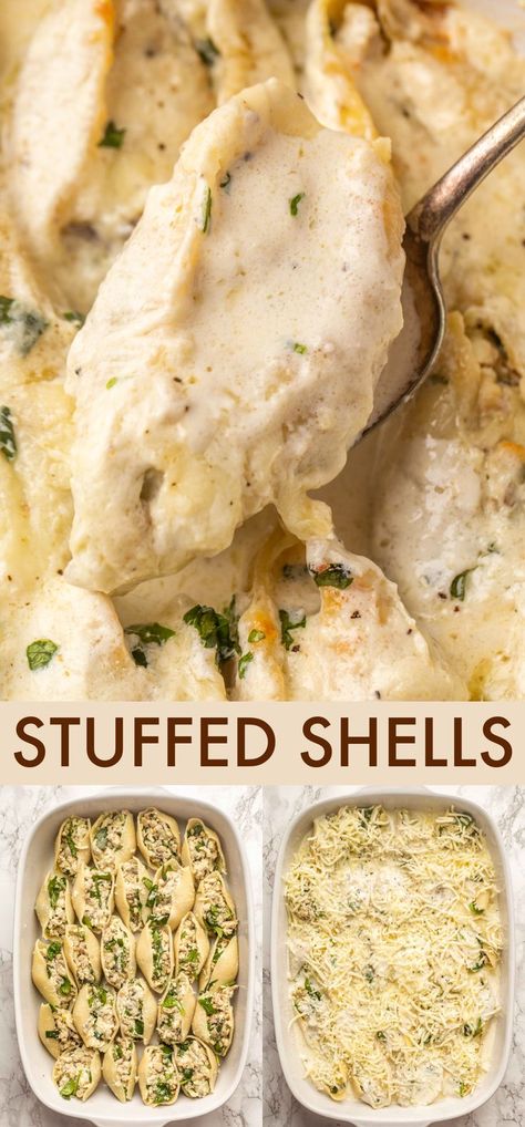 Sausage Alfredo Stuffed Shells, Stuffed Shells With Cream Sauce, Creamy White Wine Mushroom Stuffed Shells, Stuffed Shells Recipe Alfredo, Chicken Alfredo Shells Stuffed, Spinach Alfredo Stuffed Shells, Chicken Spinach Stuffed Shells, Alfredo Shells Stuffed, White Sauce Stuffed Shells