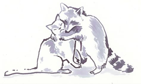 Cat And Raccoon Drawing, Cat Friends Drawing, Drawing Of Cat, Raccoon Drawing, Raccoon Art, Social Media Sites, Mia 3, Racoon, Cat Tattoo