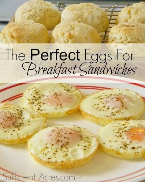 The Perfect Eggs For Breakfast Sandwiches Round Eggs For Sandwich, Baked Eggs For Breakfast Sandwiches, English Muffin Egg Sandwich, Small Batch Breakfast, Meal Prep Breakfast Sandwich, Eggs For Breakfast Sandwiches, Breakfast Sandwich Meal Prep, English Muffin Breakfast Sandwich, Egg Breakfast Sandwich