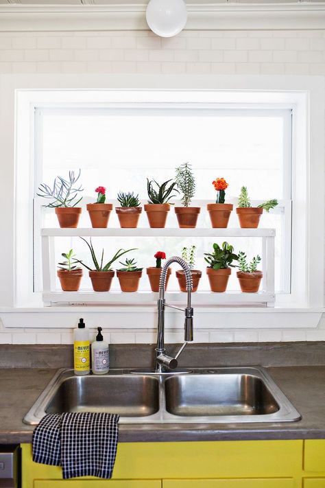 DIY Window Ledge Plant Shelf Kitchen Window Plants, Glam Rooms, Ideas Para Decorar Jardines, Window Plant Shelf, Plant Window, Window Shelves, Window Plants, Window Ledge, Plant Shelf