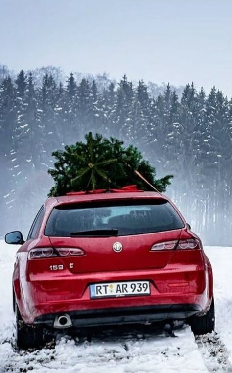 Driving home for Christmas Driving Home For Christmas, Driving Home, Home For Christmas, Alfa Romeo, Christmas Home, Christmas, Red, Quick Saves