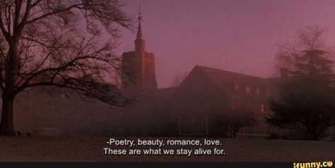 -Poetry. beauty, romance, love. These are what we stay alive for. - iFunny :) Robert Motherwell, Septième Art, Dead Poets Society, Movie Lines, Film Quotes, Aesthetic Words, Intp, Jolie Photo, Staying Alive