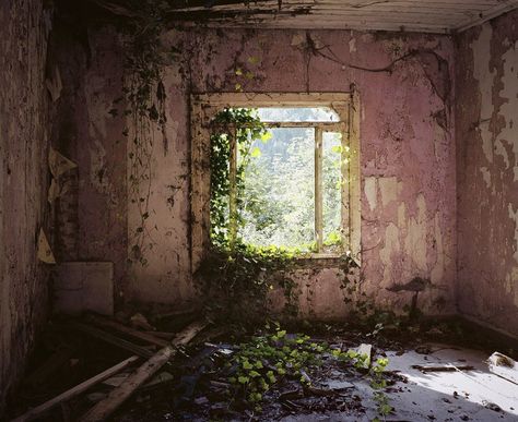 The Eerie Allure of Abandoned Houses | The New Yorker Abandoned Building Aesthetic, Apocalypse Aesthetic, Building Aesthetic, Aesthetic Names, Pastel Grunge, Post Apocalypse, Abandoned Buildings, Abandoned Houses, Pastel Aesthetic