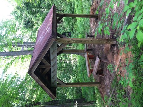 The pavilion. Tin roof. Rusted. Tin Roof Gazebo, Rustic Pavilion, Yard Activities, Horse Fence, Tin Shed, Carport Canopy, Horse Fencing, Outdoor Gathering, The Pavilion