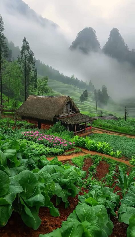 Natural life ❤️+❤️ Village Life Aesthetic, Japan Farm, House Near River, Mountain Dream Homes, Outdoor Fairy Lights, Fantasy Places, Beautiful Images Nature, Aesthetic Photography Nature, Beautiful Places Nature