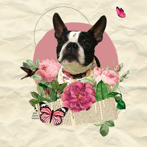 Colagem Pet Dog Photo Collage, Dog Collage Art, Pet Collage Ideas, Digital Collage Art Photoshop, Collage Procreate, Photo Gifts For Boyfriend, Photos Collage Ideas, Photo Gifts Ideas, Collages Ideas