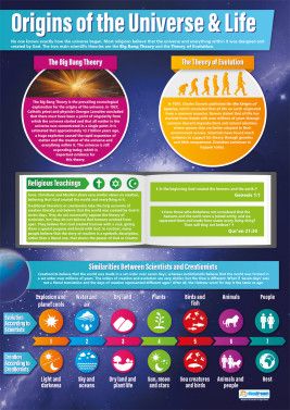 Origins of the Universe & Life Poster Universe Infographic, Origin Of The Universe, Education Posters, Theories About The Universe, Religious Tolerance, Theory Of Evolution, Nature Of God, Buddhist Teachings, Phrasal Verbs