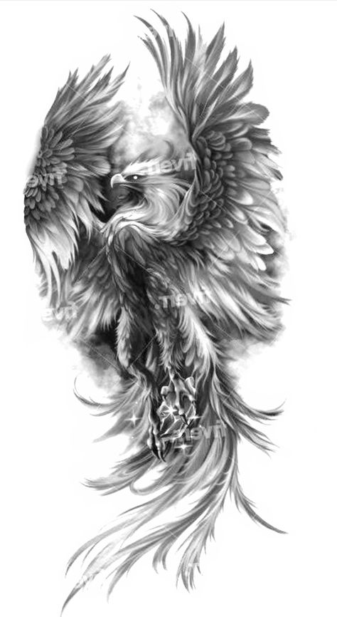 Griffin Drawing, Griffin Tattoo, Arm Tattoos Drawing, Phoenix Tattoo Design, Eagle Tattoos, Phoenix Tattoo, Tattoo Style Drawings, Lion Tattoo, Half Sleeve Tattoo