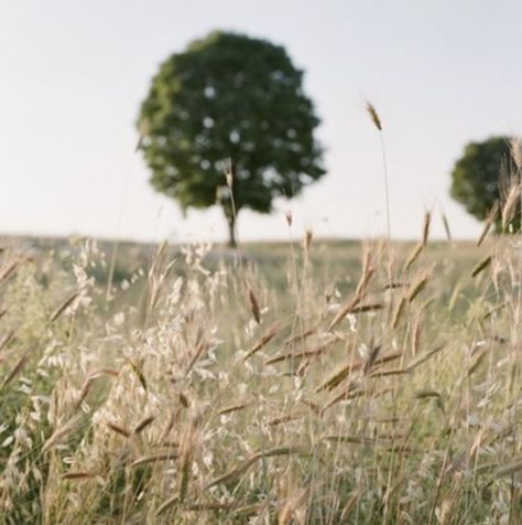 We all get busy, and it's easy to forget to take a few minutes for ourselves. But we're lucky enough to live in a world that is full of natural beauty, so let's take some time out to enjoy it! So, get outside and appreciate nature. Italian Countryside Aesthetic, Countryside Photography, Italian Aesthetic, Umbria Italy, Italian Countryside, Italy Aesthetic, Friendly Reminder, French Countryside, Italian Summer