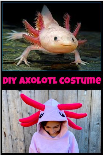 Easy step by step tutorial for making an axolotl costume for Halloween, Cosplay, or a Minecraft Birthday Party. kerricreates.org/2022/01/28/diy-axolotl-halloween-costume/ Eris Costume, Rally Activities, Diy Axolotl, Alphabet Parade, Axolotl Costume, Quick Halloween Costumes Last Minute, Halloween Costumes Last Minute, Costumes Last Minute, Halloween Costumes Men