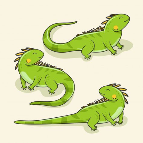 Iguana cartoon cute lizard animal reptile set Premium Vector | Free Vector #Freepik #vector #freegreen #freenature #freecharacter #freecartoon Iguana Drawing Cute, Cute Lizard Art, Lizard Drawing Cute, Cartoon Lizard Drawing, Cartoon Iguana, Cute Lizard Drawing, Iguana Cartoon, Iguana Illustration, Iguana Drawing