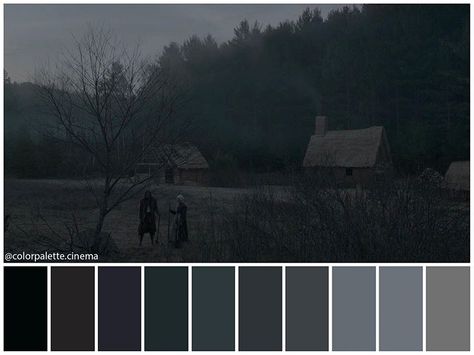 Color Palette Cinema su Instagram: ": "The VVitch: A New-England Folktale" (2015). •Directed by Robert Eggers •Cinematography: Jarin Blaschke •Production Design: Craig…" Gothic Color Palette, The Vvitch, Robert Eggers, Movie Color Palette, Cinema Colours, Pantone Colour Palettes, Color Drawing Art, Paint Color Schemes, Production Design