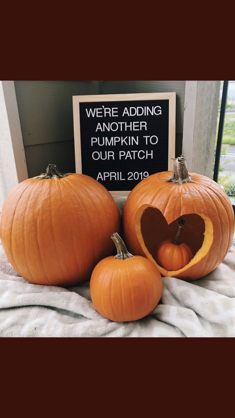 Pumpkin Birth Announcement, Halloween Gender Announcement, Pregnancy Announcement With Pumpkins, Pumpkin Head Pregnancy Announcement, Pregnancy Hints Announcement, 2nd Baby Announcement With Toddler Fall, Pumpkin Announcement Pregnancy, October Pregnancy Announcement Baby 2, Little Pumpkin Pregnancy Announcement