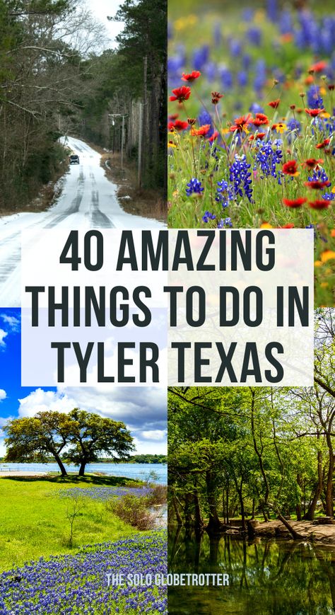 There are many amazing things to do in Tyler Texas perfect for a weekend with your family, or if you are looking for a romantic getaway.Tyler is one of the best destinations in Texas to enjoy the typical laid-back Southern vibe.With many awesome things to do in Tyler Tx, ranging from outdoor activities to history and gastronomy, especially its BBQ culture, it is a family-friendly city with something exciting and enjoyable for everyone. Enjoy reading the post further to learn about Tyler Texas. Tyler Texas Things To Do In, Family Photo Location Ideas, Travel 2025, Things To Do In Texas, Huntsville Texas, Antiques Road Trip, Texas Vacation, Texas Beaches, Travel Texas