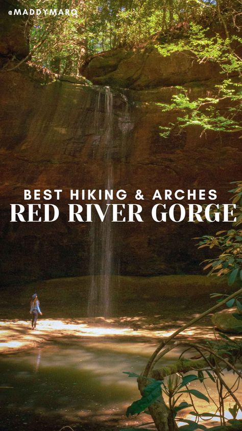 12 Best Hiking Trails & Views in the Red River Gorge Gorge Best, Red River Gorge Kentucky, Midwest Summer, Daniel Boone National Forest, Hello Stranger, Kentucky Travel, New River Gorge, Red River Gorge, Natural Bridge