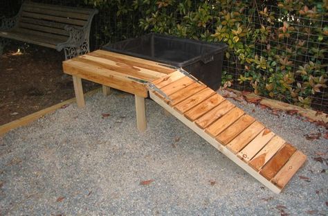 Duck Ramp & Pool/Pond Ramps For Duck Ponds, Duck Pool Ramp Ideas, Duck Ramp Ideas, Duck Pond Ramp, Duck Pool Ramp, Duck Ramp For Pool, Duck Ramp, Duck Houses, Duck Pens