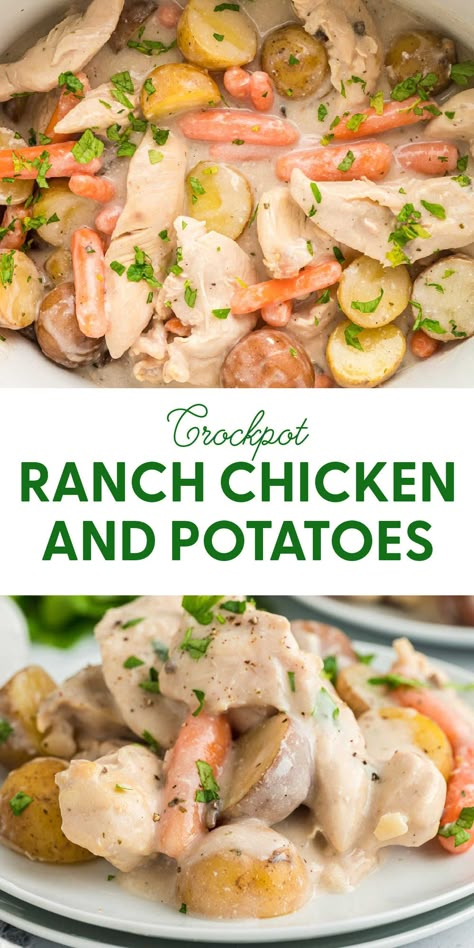 Crock Pot Chicken Ranch Potatoes, Crockpot Chicken Potatoes Carrots Ranch, Crock Pot Chicken Recipes With Potatoes, Crockpot Chicken Ranch Potatoes, Crockpot Chicken Breast And Potatoes, Creamy Chicken And Potatoes Crock Pot, Crock Pot Ranch Chicken And Potatoes, Chicken And Potatoes In Crockpot, Recipes With Ranch Seasoning Packet