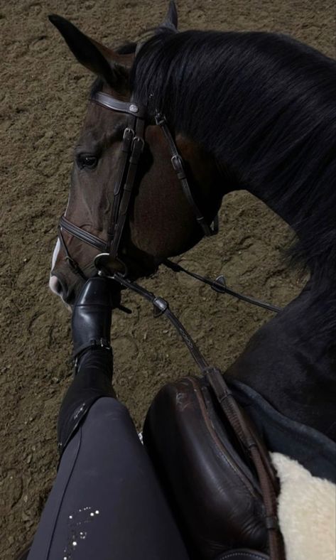 Horse Riding Women Aesthetic, Equestrian Snapchat, Horse Riding Instagram Story, Horse Asthetics Photos, English Horse Riding Aesthetic, Equine Aesthetic, Equestrian School, Horse Selfie, Riding Aesthetic