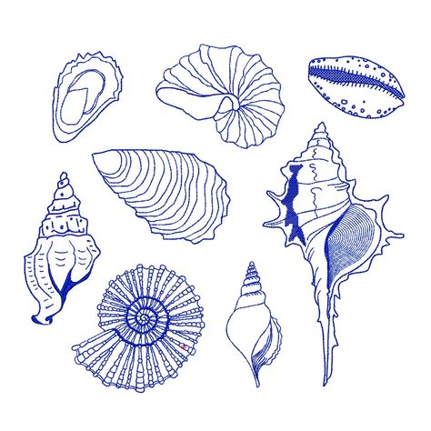 Chinoiserie Shell Set for Machine Embroidery, 8 Nautical Conch Marine Ocean Sea Fish Crab Design Pattern Instant Download ZIP Any Size - Etsy Sea Shell Graphic Design, Shell Pattern Design, Embroidery Shells, Embroidery Free Pattern, Embroidery Ocean, Seashell Embroidery, Ocean Embroidery, Shell Embroidery, Nautical Embroidery