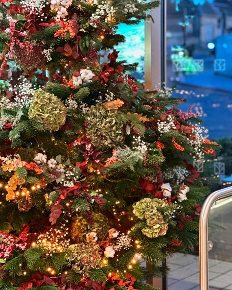 Fully biodegradable sustainable Christmas tree. What a beauty she is 🎄🎄🎄 Mixed foliages, dried and preserved stems hand created by Jodie & Lashanta ✨✨✨ #Christmas #christmastree #christmasadvent #adventcandles #adventwreath #Christmas wreath #tablecentrepiece #holidayseason #chrimstmastime #christmasflowers #Christmasflorist #christmasflorals #christmasfloralarrangement #christmasfloristry #autumn #doorwreath #doorwreathsmakeprettydoors #doorwreathsofinstagram #autumndecor #autumnvibes #aut... Sustainable Christmas Tree, Sustainable Christmas, Christmas Floral Arrangements, Advent Candles, Advent Wreath, Christmas Flowers, Christmas Advent, Centre Pieces, Fall Vibes