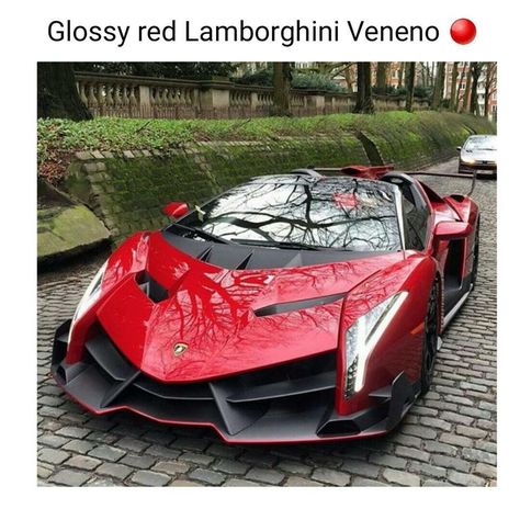 Veneno Roadster, Kereta Sport, Red Lamborghini, Car Wheels Diy, Car Wheels Rims, Lamborghini Veneno, Lamborghini Cars, Most Expensive Car, Expensive Cars