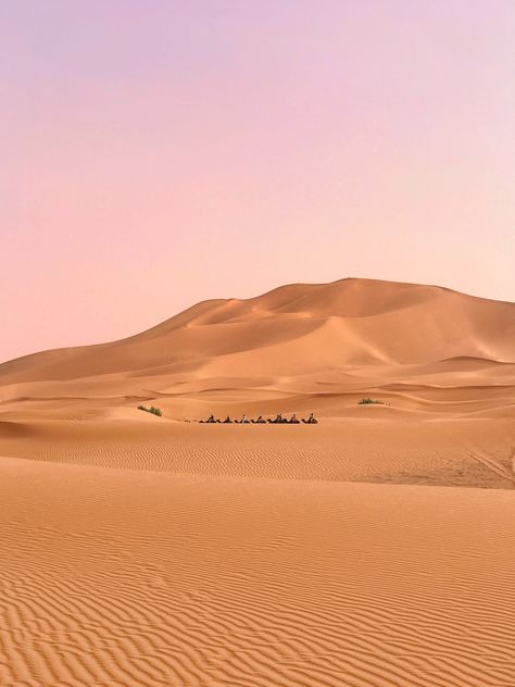 Thanks to @Ivanliuhu for making this photo available freely on @unsplash 🎁 Sahara Desert Aesthetic, Sahara Desert Photography, Desert Landscape Photography, Merzouga Morocco, Place To Travel, Desert Aesthetic, Desert Photography, Desert Tour, Africa Destinations