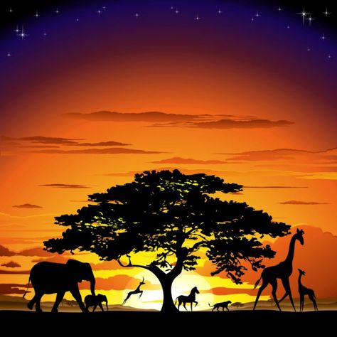 Tropisches Tattoo, Savannah Sunset, African Animals Photography, Sunset Drawing, African Savanna, Lion King Pictures, Lion Photography, African Sunset, Afrikaanse Kunst