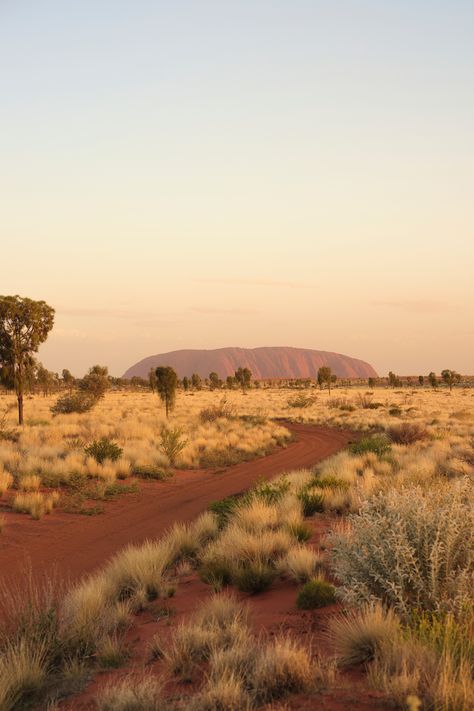 Explorers are spoiled for choice at Australia’s Uluṟu-Kata Tjuṯa National Park. Hike through the incredible landscapes, walk at the base to see ancient rock art, climb onto the back of a camel, or take a “joy flight” through the skies in a helicopter. Incredible Landscapes, Sandstone Wall, Rock Pools, International Travel, World Heritage, Rock Art, Helicopter, National Park, Flight