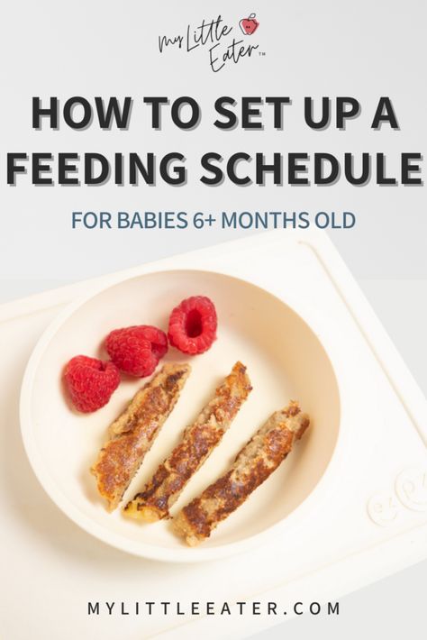 How to set up a feeding schedule for babies 6  months old Feeding 6 Month Old, Schedule For 6 Month Old, Starting Solid Foods, Baby Progress, Baby Led Feeding, Baby Feeding Schedule, Formula Feeding, Starting Solids, Introducing Solids