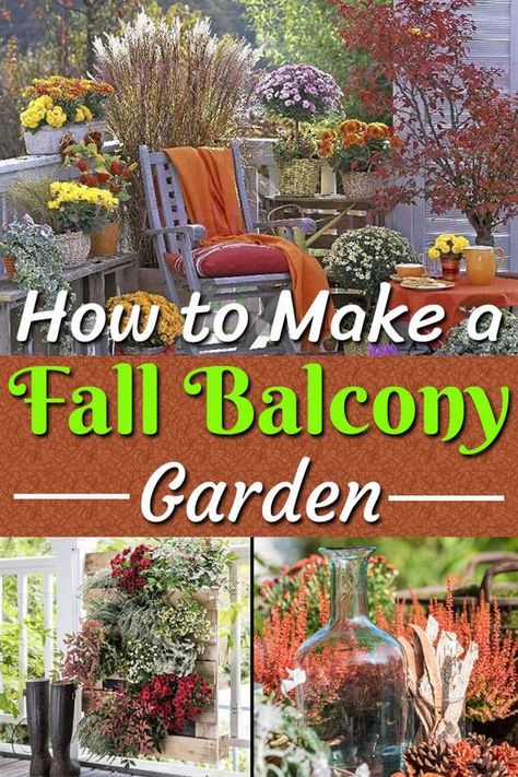 Get inspired to turn your condo balcony into a beautiful fall garden! Make it cozy and festive, so you can enjoy your outdoor space for as long as possible. #balcony #smallspace #balconygarden #fall #autumn #decoration #decorate #decor #garden #condo #apartment #apartmenttherapy #condos #homeowner #fallinspiration #falldecoration #outdoors #outdoor #patio #citylife Fall Balcony Decor, Balcony Pics, Fall Balcony, Small Space Garden, Garden Creatures, Small Apartment Balcony Ideas, Fall Patio, Balcony Garden Ideas, Beautiful Balcony