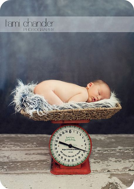 newborn on scale Scale Pictures, Wall Art Portrait, Baby Inside, Newborn Photography Poses, Vintage Scale, Baby Poses, Newborn Baby Photos, Newborn Posing, Newborn Portrait