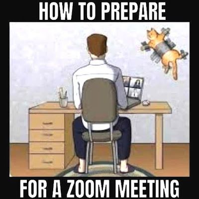 Meeting Memes, Cats In Love, Cute Cat Memes, Cat Jokes, Zoom Meeting, Cat Themed Gifts, Owning A Cat, Cat Help, Cat Fashion