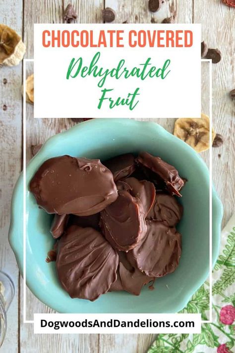 These chocolate covered dehydrated fruit pieces are a yummy way to eat healthier. Dipped in dark chocolate, this is a great way to gift some of your homegrown fruits. #dogwoodsanddandelions #fruit #preserving #dehydrating Dehydrated Bananas, Snacks Homemade, Dehydrated Strawberries, Chocolate Covered Bananas, Chicken Keeping, Ways To Eat Healthy, Dehydrated Fruit, Chocolate Covered Cherries, Chocolate Fruit