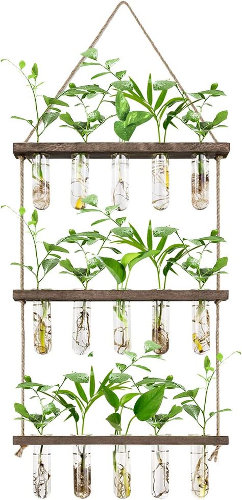 XXXFLOWER Wall Hanging Propagation Station with Wooden Stand 5 Glass Test Tubes 3 Tiered Planters Wall Terrarium for Home Office Plant Hanger Flower Vases Wall Decor Hydroponic Cuttings Hanging Propagation Station, Hanging Propagation, Hanging Glass Planters, Wall Terrarium, Test Tube Vase, Tiered Planter, Propagation Station, Vertical Garden Wall, Air Plant Terrarium