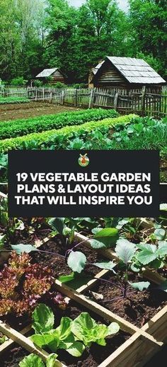 Vegetable Garden Plans, Funny Vine, Vegetable Garden Planner, Garden Layout Vegetable, Vegetable Garden Planning, Organic Vegetable Garden, Garden Planner, Garden Plans, Home Vegetable Garden