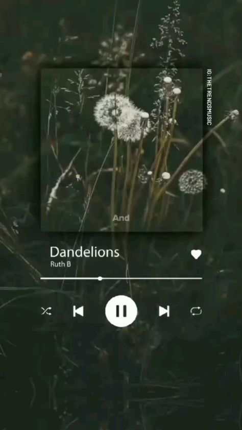 Dandelion Lyrics, Metal Songs, Wallpaper Lyrics, Cartoon Songs, Music Time, Friend Lyrics, Best English Songs, Fav Song, Lyrics Of English Songs