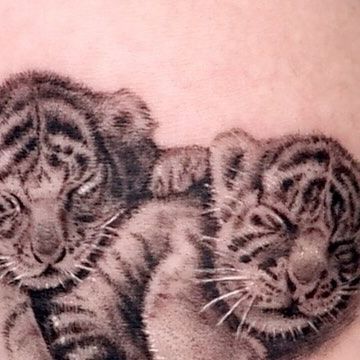 LAtattoo on Instagram: "Baby tiger tattoo❣️🐯 It’s a sleeping baby tiger brother and sister.��🥰 I was happy to get a tattoo with you~ 잠자는 아기호랑이 타투✨" Baby Tiger Tattoo, Baby Tiger, Brother And Sister, Tiger Tattoo, Instagram Baby, Get A Tattoo, A Tattoo, Baby Sleep, Tattoos