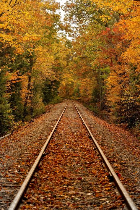 Autumn in New Hampshire - October 19, 2020. | #New_Hampshire_Photography #Fall_Wonderland #Fall_Core #September_Aesthetic Cool Autumn Aesthetic, Fall Indie Aesthetic, New Hampshire Photography, Fall Core, October Vibes, Ber Months, Fall Wallpapers, Fall Photography, Autumn Magic