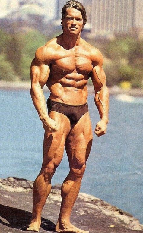 Arnold Schwarzenegger, Mr Olympia 1980 Arnold Schwarzenegger Physique, Arnold Physique, Arnold Schwarzenegger Back, Arnold Schwarzenegger Body, Building Motivation, Arnold Schwarzenegger Muscle, Dream Physique, Arnold Schwarzenegger Bodybuilding, Frank Zane