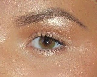 Coconut Oil Eyebrows, Arched Brows, Bushy Eyebrows, Small Eyes, Arch Brows, Arched Eyebrows, Filling In Eyebrows, Eyebrows On Fleek, Thick Eyebrows