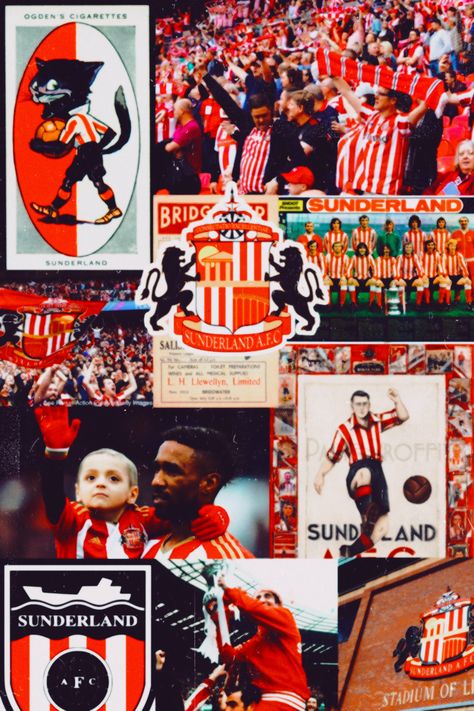 #sunderland #premierleague #futebol #background #wallpaper #stadiumofligth #wembley Sunderland Afc Wallpaper, Sunderland Wallpaper, Sunderland Football, Sunderland Afc, Football Wallpapers, Desktop Wallpaper Art, Sports Books, Football Quotes, Football Lovers