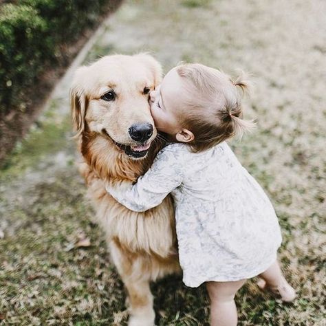 Fear Of Dogs, Cute Little Puppies, Foto Baby, Foto Tips, Big Dog, Little Puppies, Tiny Humans, Future Family, Golden Retrievers