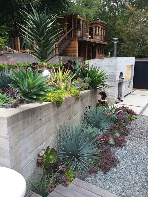 Succulent Landscape Design, Low Water Gardening, Drought Tolerant Garden, Succulent Landscaping, Drought Tolerant Landscape, Modern Landscape Design, Desert Garden, Rock Garden Landscaping, Garden Area