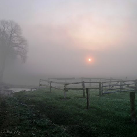 Breaking dawn Landscape References, Morning Fog, Misty Morning, Foggy Morning, Green River, Little Cat, Breaking Dawn, Gods Creation, The Fog