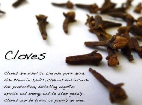 Magical Use Of - Cloves Magickal Herbs, Witch Herbs, Magia Das Ervas, Magic Herbs, Kitchen Witchery, Magical Herbs, Clove Oil, Herbal Magic, Spells Witchcraft