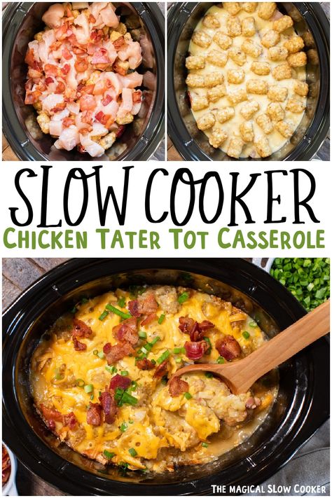 Make tater tot casserole with chicken and bacon in the slow cooker! This meal just needs 5 hours for the best tater tot casserole you will ever have! - The Magical Slow Cooker Tater Tot Chicken Crock Pot, Crockpot Tater Tot Casserole Chicken, Crockpot Tator Tot Casserole Chicken, Tater Tot Casserole Slow Cooker, Crock Pot Casseroles Recipes, What To Eat With Tater Tots, Slow Cooker Chicken Tater Tot Casserole, Crockpot Chicken And Tater Tots Recipes, Crockpot Recipes With Tater Tots