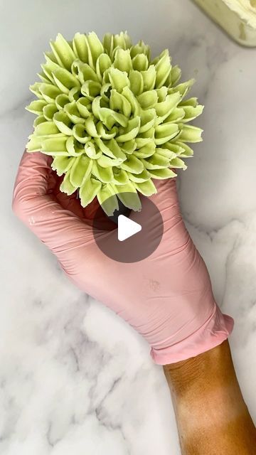 Sweet Sisters on Instagram: "Piping a Chrysanthemum using Ateco tip 143 🧁  I filled my piping bag half with buttercream and half with green buttercream for definition.   Happy piping!  . . . #piping #pipingflowers #pipingbuttercream #pipingtips #buttercream #buttercreamtutorial #buttercreamflowers #flowers #flowercupcakes #pipingflowers #cupcakes #cupcakedecorating #bake" Ateco Piping Tips, Green Buttercream, Piping Buttercream, Piping Flowers, Piping Bag, Flower Cupcakes, Piping Tips, Buttercream Flowers, Cupcakes Decoration